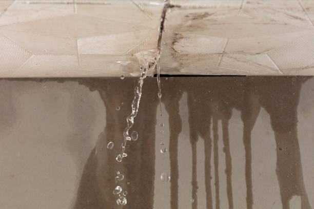 Professional Water Damage Inspection technician working in Boerne, TX